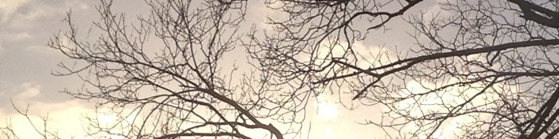 Sonne, leichte Wolken – gedämpftes Licht